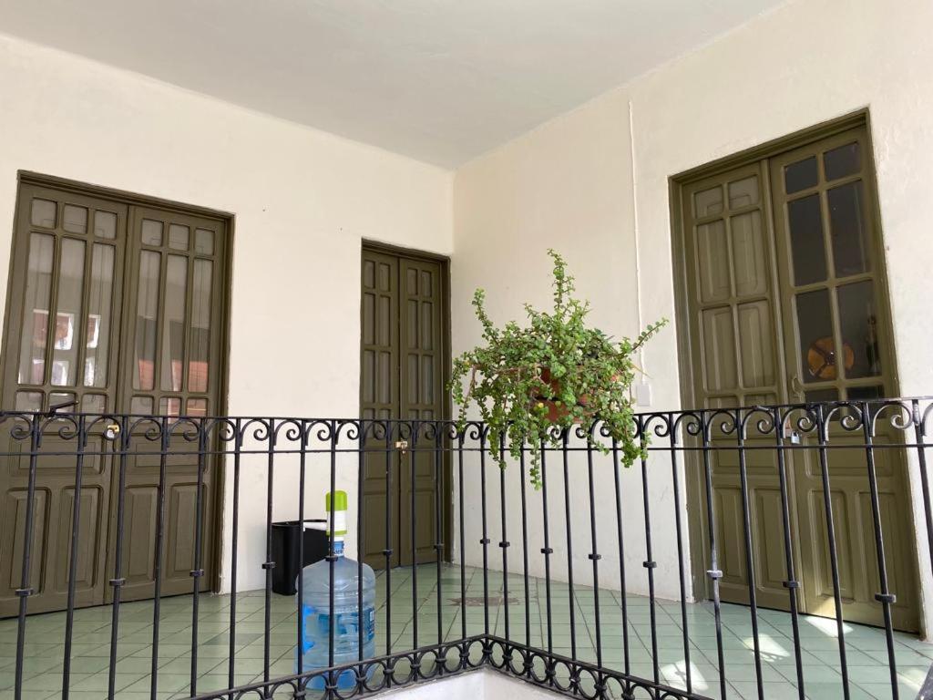 Hostal Santuario De Las Libelulas غوادالاجارا المظهر الخارجي الصورة